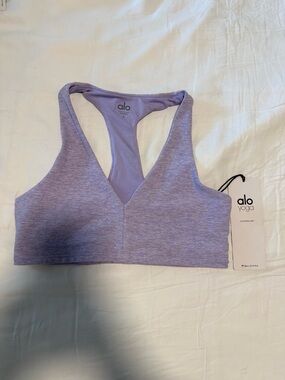ALO Alosoft Base Sports Bra in Ultraviolet Heather